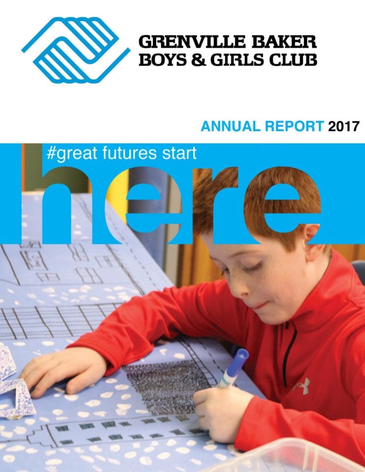 2017 Annual Report cover